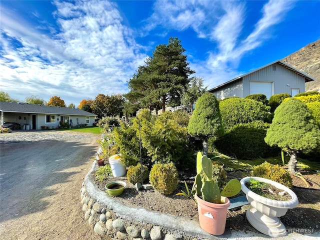 59G Copple Rd, Omak, WA 98841 - view of yard