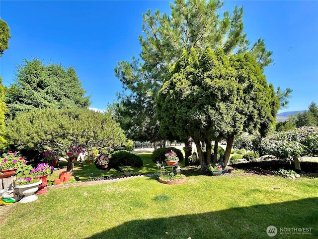 59G Copple Rd, Omak, WA 98841 - view of green lawn