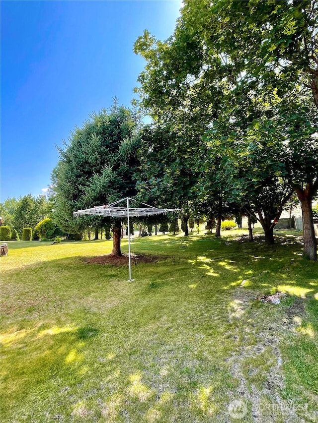 59G Copple Rd, Omak, WA 98841 - view of grassy yard