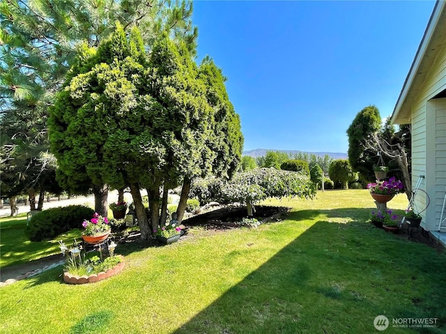 59G Copple Rd, Omak, WA 98841 - view of green lawn
