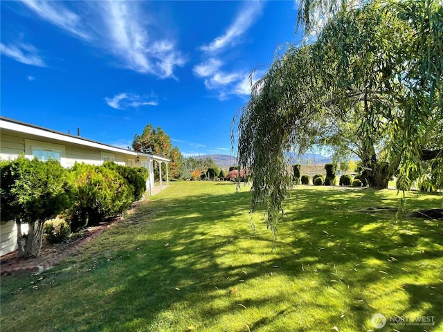 59G Copple Rd, Omak, WA 98841 - view of grassy yard
