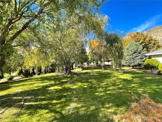 59G Copple Rd, Omak, WA 98841 - view of grassy yard