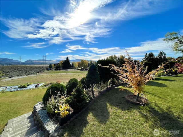 59G Copple Rd, Omak, WA 98841 - view of grassy yard featuring a mountain view