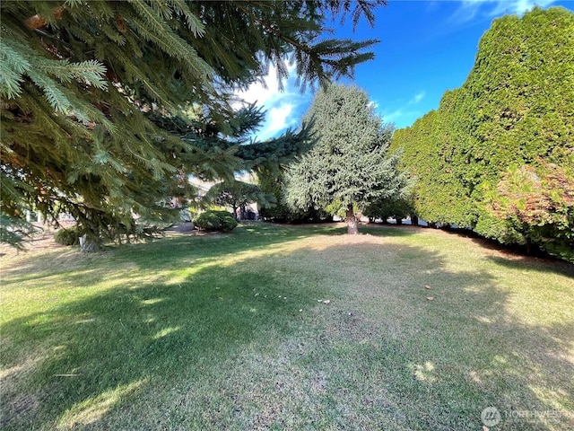 59G Copple Rd, Omak, WA 98841 - view of grassy yard