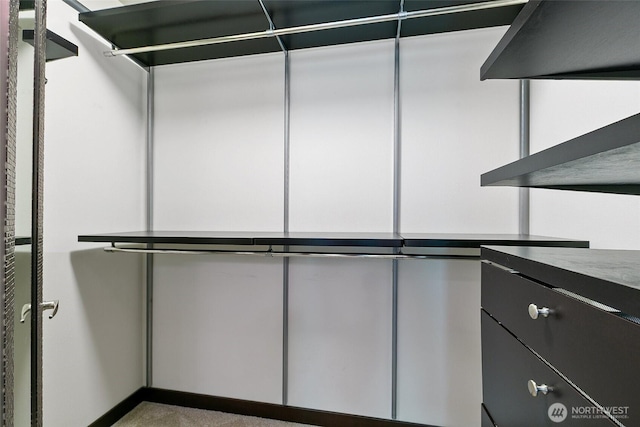 7162 Shinkle Pl SW Unit 64, Seattle, WA 98106 - view of spacious closet