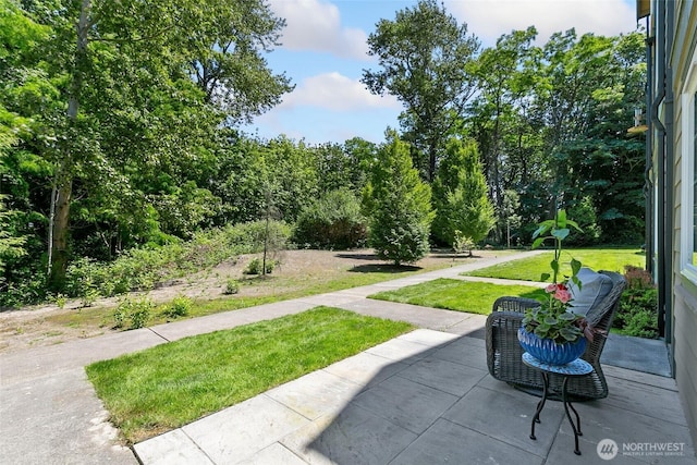 7162 Shinkle Pl SW Unit 64, Seattle, WA 98106 - view of grassy yard