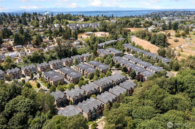 7162 Shinkle Pl SW Unit 64, Seattle, WA 98106 - aerial view of residential area