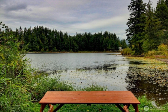 14 Nighthawk Cir, Bellingham, WA 98229