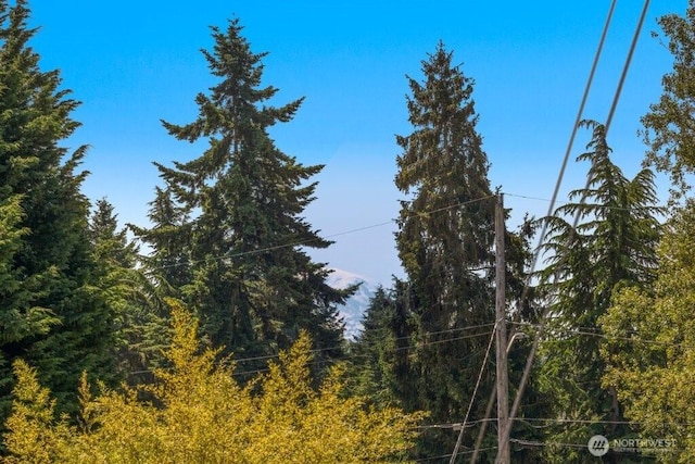 16204 Corliss Pl N, Shoreline, WA 98133 - view of wooded area