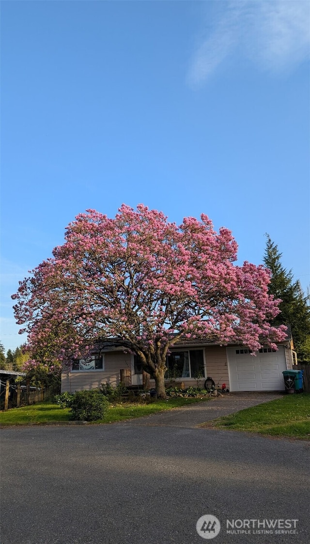 16204 Corliss Pl N, Shoreline, WA 98133 - obstructed view of property featuring a garage and driveway