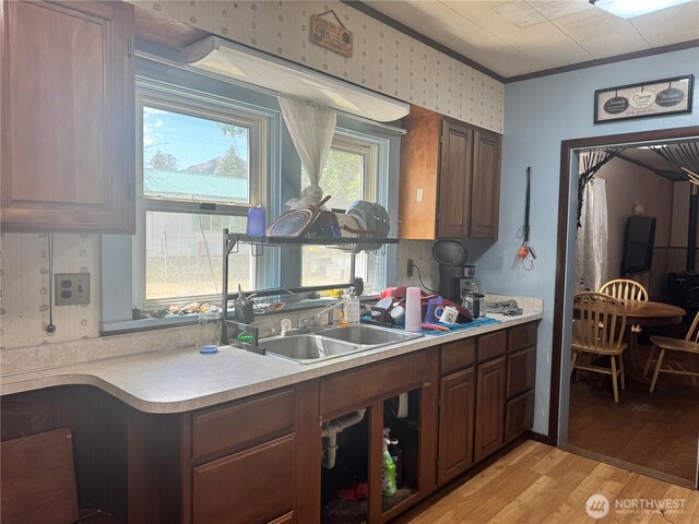 8 S Main St, Curlew, WA 99118 - kitchen with light wood finished floors, light countertops, and ornamental molding