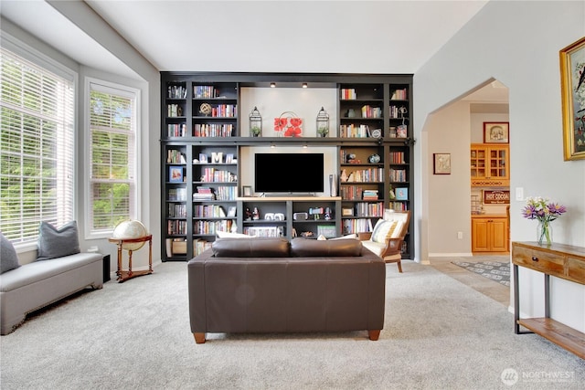 21414 137th Ave NE, Arlington, WA 98223 - living room featuring carpet floors and arched walkways