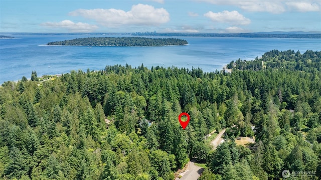 3528 Harper Hill Rd SE, Port Orchard, WA 98366 - photo 33