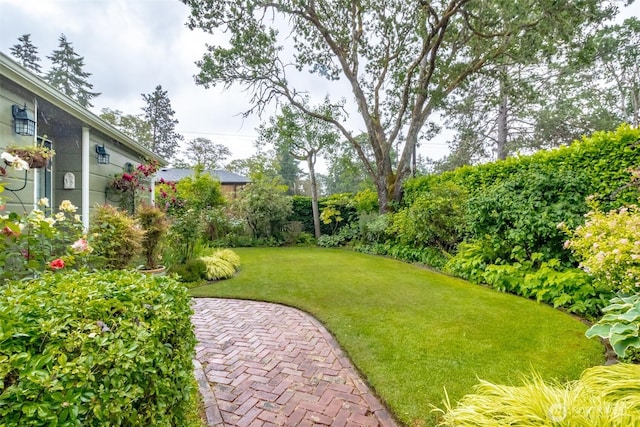 6711 100th St SW, Lakewood, WA 98499 - view of green lawn