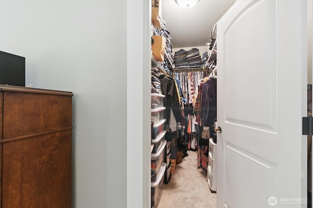 26713 178th Loop SE, Covington, WA 98042 - walk in closet featuring carpet floors