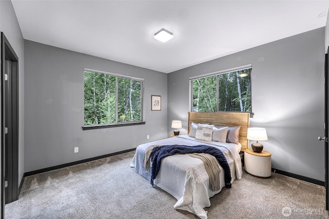 3 River Ridge Loop, Bellingham, WA 98229 - bedroom with multiple windows and carpet