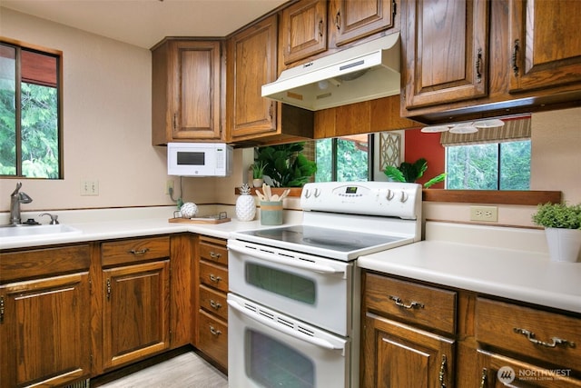 27435 NE 22nd St, Redmond, WA 98053 - photo 11