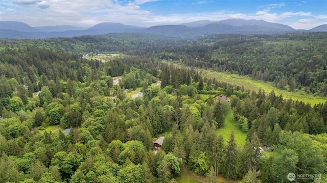 27435 NE 22nd St, Redmond, WA 98053 - photo 40