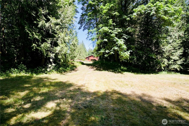27435 NE 22nd St, Redmond, WA 98053 - photo 33
