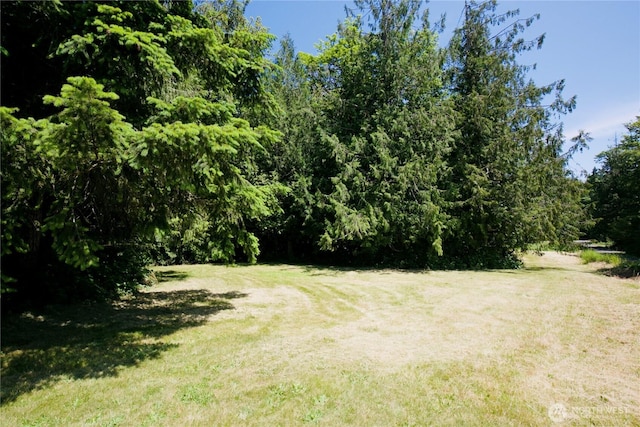 27435 NE 22nd St, Redmond, WA 98053 - photo 36