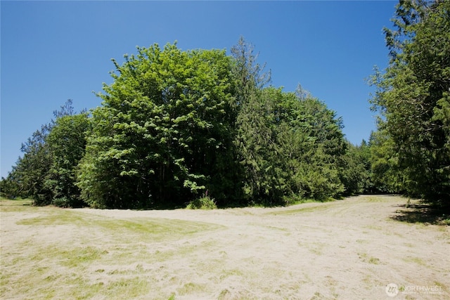 27435 NE 22nd St, Redmond, WA 98053 - photo 37