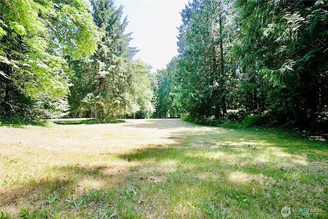 27435 NE 22nd St, Redmond, WA 98053 - photo 34