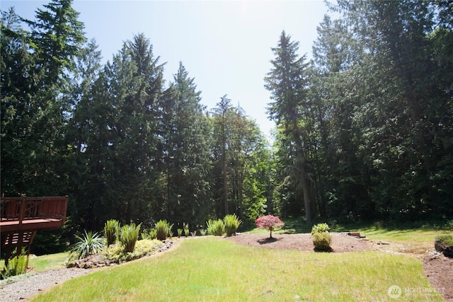 27435 NE 22nd St, Redmond, WA 98053 - photo 31