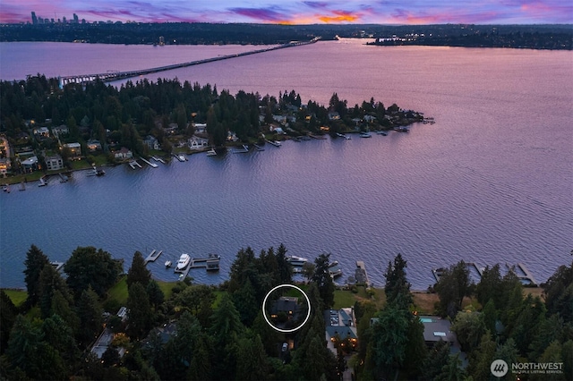 3639 Hunts Point Rd, Hunts Point, WA 98004 - aerial view of property and surrounding area featuring a nearby body of water