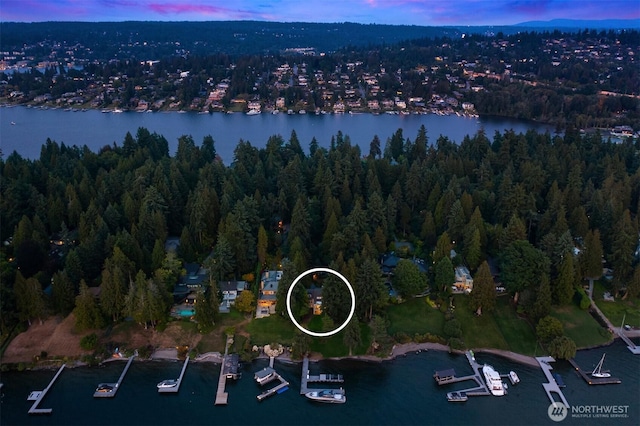 3639 Hunts Point Rd, Hunts Point, WA 98004 - view of property location with a large body of water