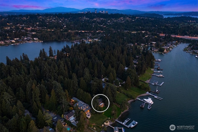 3639 Hunts Point Rd, Hunts Point, WA 98004 - aerial view of property's location with a forest and a water and mountain view