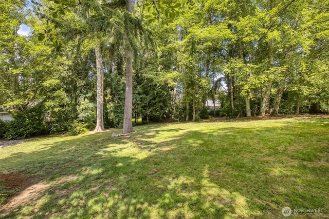 5380 NE Ponderosa Blvd, Hansville, WA 98340 - photo 25