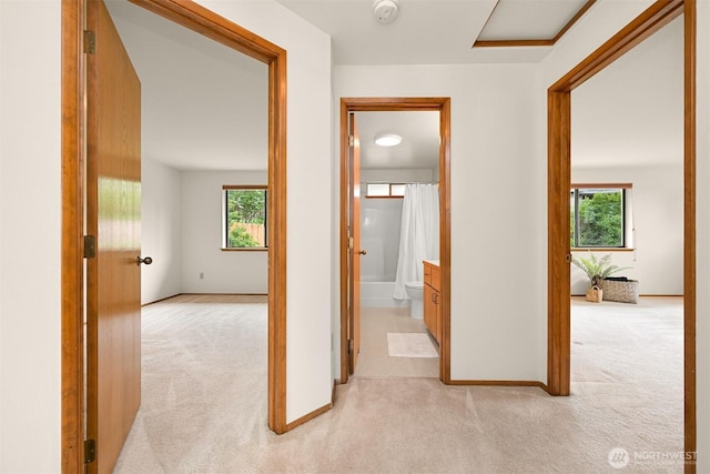 1708 Whatcom St, Bellingham, WA 98229 - hallway featuring light colored carpet and baseboards
