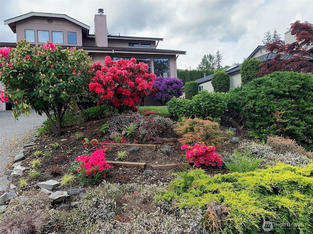 1708 Whatcom St, Bellingham, WA 98229 - view of yard