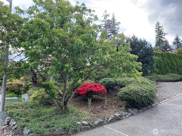 1708 Whatcom St, Bellingham, WA 98229 - view of community