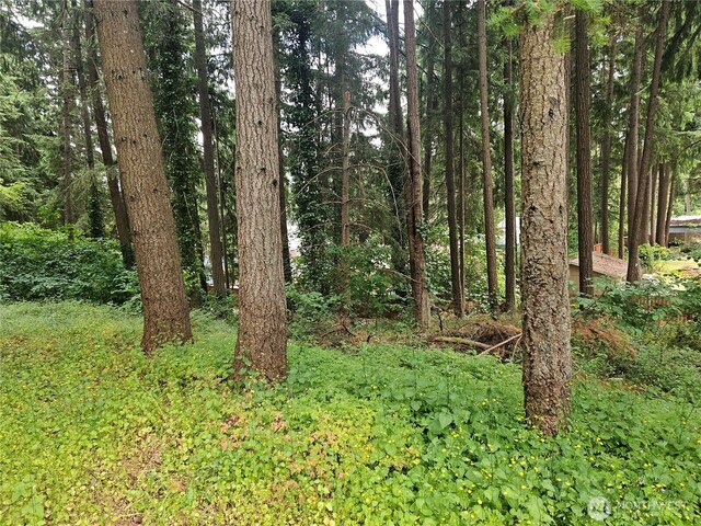 6923 20th Ave SE Unit 1, Lacey, WA 98503 - photo 12