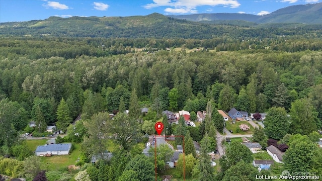 35728 157th Pl SE, Sultan, WA 98294 - aerial view of property's location with a mountain backdrop