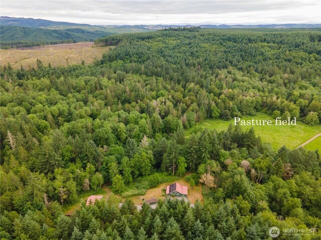21405 Thompson Creek Rd SE, Tenino, WA 98589 - aerial view of a heavily wooded area and a mountain backdrop
