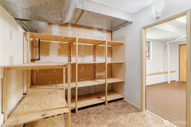 3909 Fielding Ave, Bellingham, WA 98229 - view of storage area