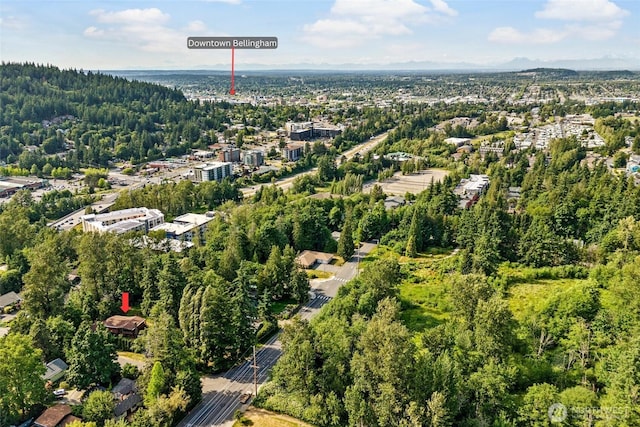 3909 Fielding Ave, Bellingham, WA 98229 - view of property location with a forest