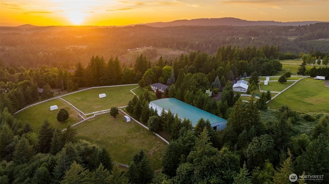aerial view of a heavily wooded area and a mountainous background