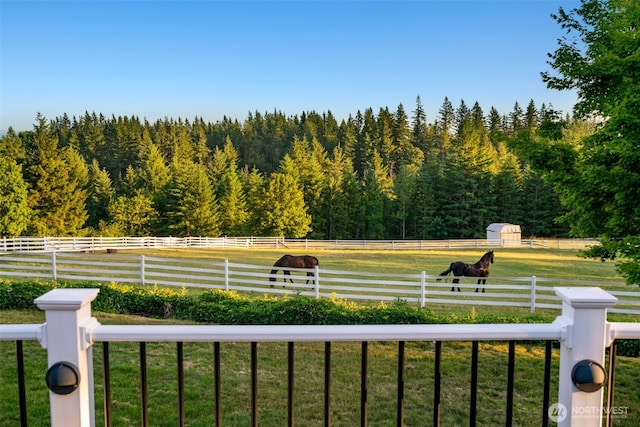 view of yard featuring a forest view and a view of rural / pastoral area