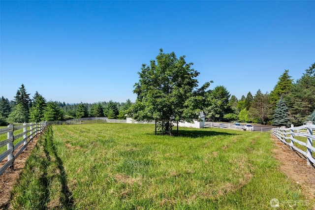 view of yard featuring a view of countryside and a wooded view