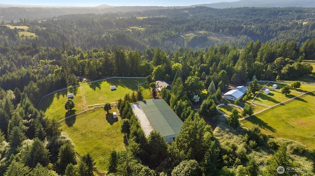 drone / aerial view of a forest and a mountain backdrop