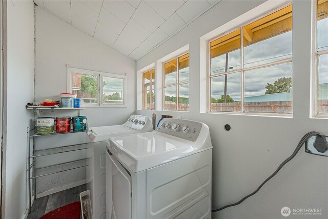 1240 S Tower Ave, Centralia, WA 98531 - photo 16