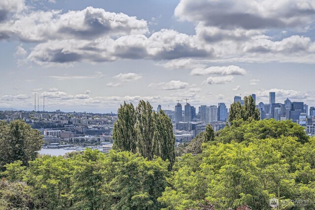 511 Howe St Unit C, Seattle, WA 98109 - skyline view