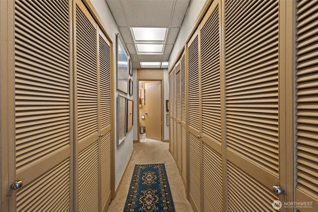 4925 Goodpiper Ln, Freeland, WA 98249 - corridor featuring light carpet and a paneled ceiling