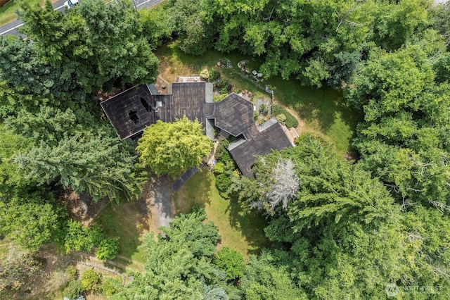 4925 Goodpiper Ln, Freeland, WA 98249 - bird's eye view