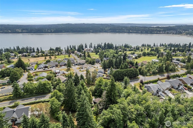 4925 Goodpiper Ln, Freeland, WA 98249 - aerial view of residential area with a nearby body of water