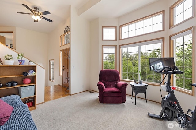 7123 NE 165th St, Kenmore, WA 98028 - exercise room with carpet floors, a high ceiling, and a ceiling fan