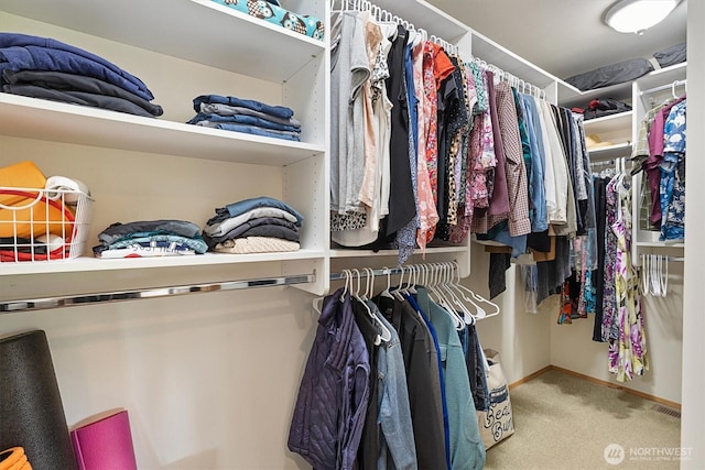 7123 NE 165th St, Kenmore, WA 98028 - spacious closet featuring carpet flooring